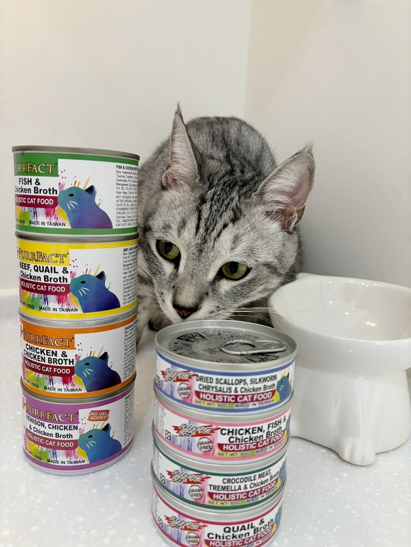 女人知己試用大隊,口碑行銷,部落客行銷,PURRFACT 波菲特貓用主食罐,主食罐,PURRFACT波菲特,貓主食罐,貓罐,PURRFACT波菲特貓用主食罐,魚肉蔓越莓主食罐,鮮嫩雞主食罐,鹿肉雞肉主食罐,牛肉鵪鶉貓主食罐,干貝蠶蛹配方,鱷魚肉白木耳配方,雞肉魚肉配方,安心鶉配方,評價,體驗,適口性佳,心得,成貓適用,高齡貓適用,質地是慕絲狀